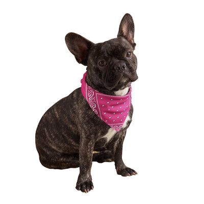 Magenta Dog Bandanas