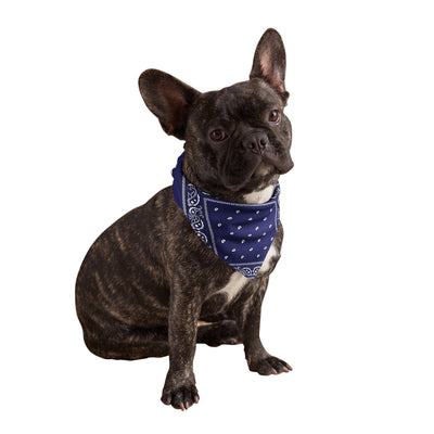 Navy Blue Dog Bandanas