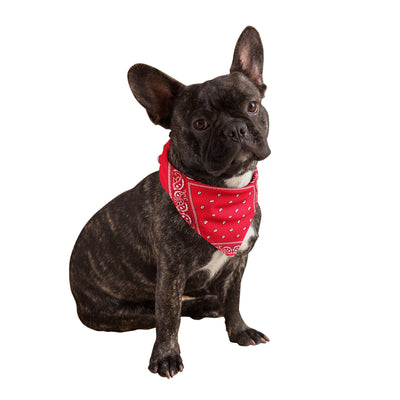 Pink Camouflaged Over the Collar Dog Bandana That Slips onto Their Existing Collar Size Medium 