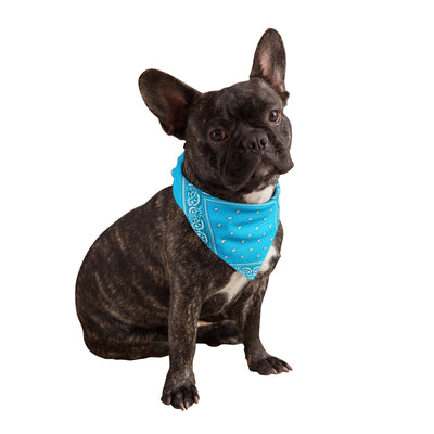 Turquoise Dog Bandanas